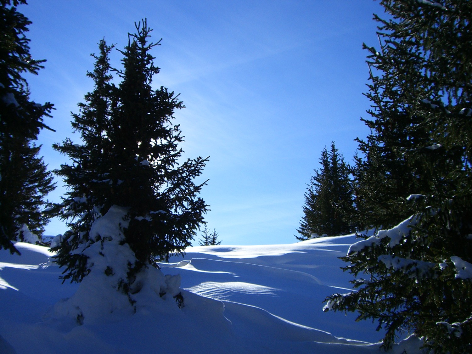que de neige !