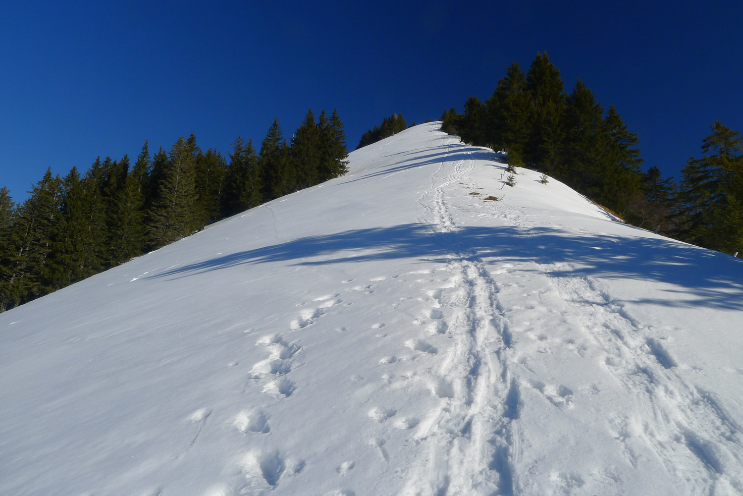 Sommet Ouest des Millets (Pt1679) en vue