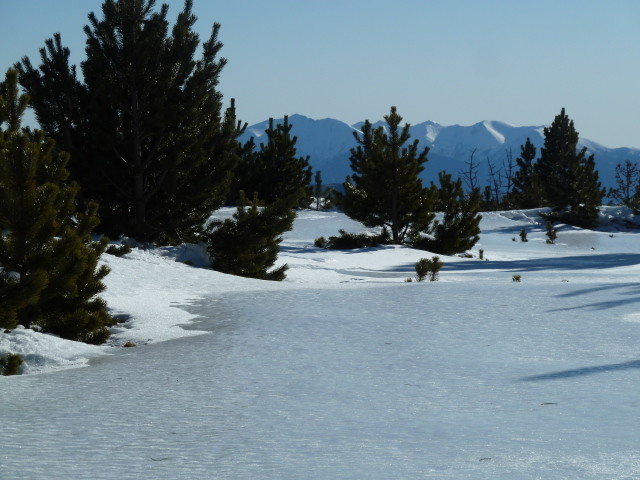 Patinoire