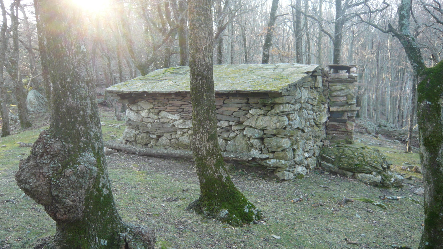 Barraque