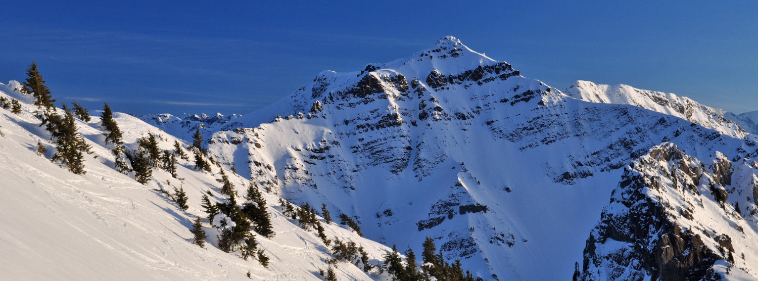 Tavaneuse