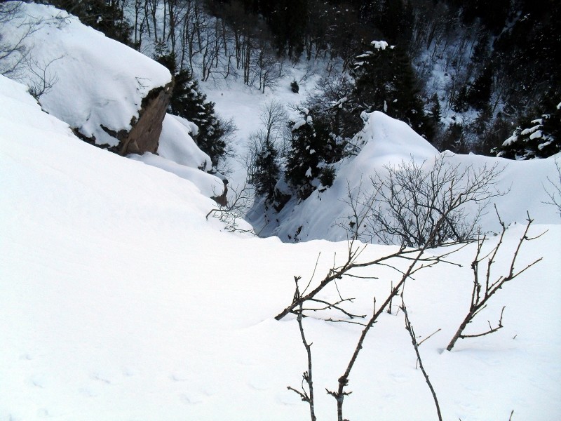 vue du dessus