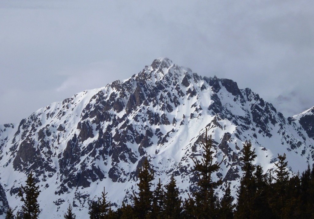 Luisin, versant S vu du Mt de l'Arpille