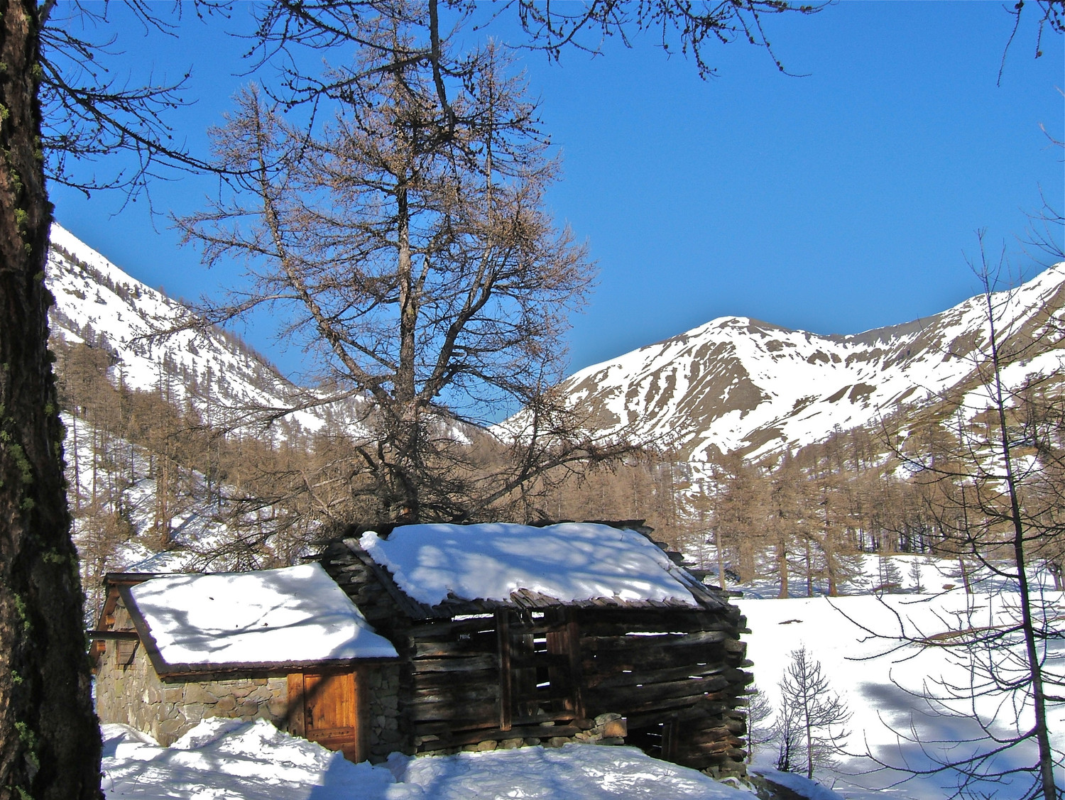 Cime de la Bonette.