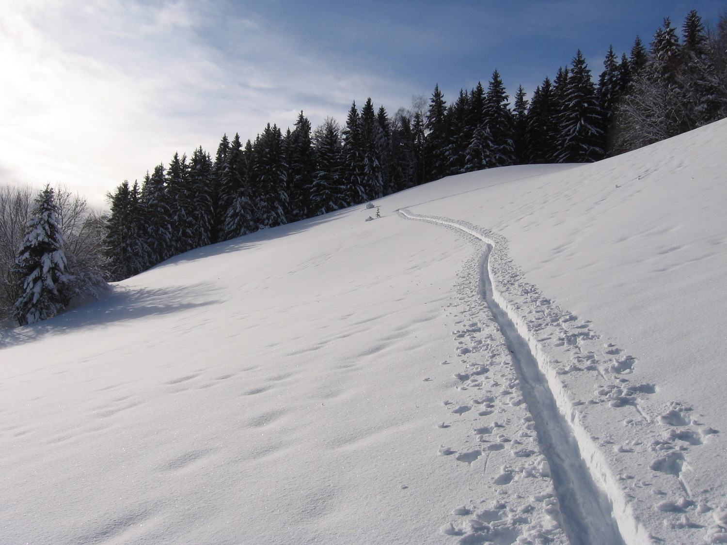 Chartreuse : montée au col du Baure , puis longue traversée en forêt vers le Col du Coq