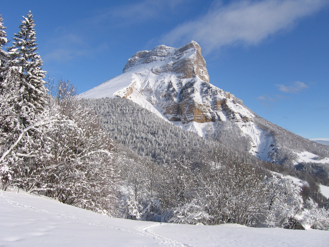 Chartreuse : belle couche tombée cette nuit