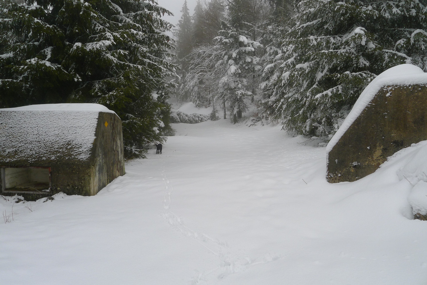 Montée par le chemin d'été. Vu sur les toblerones
