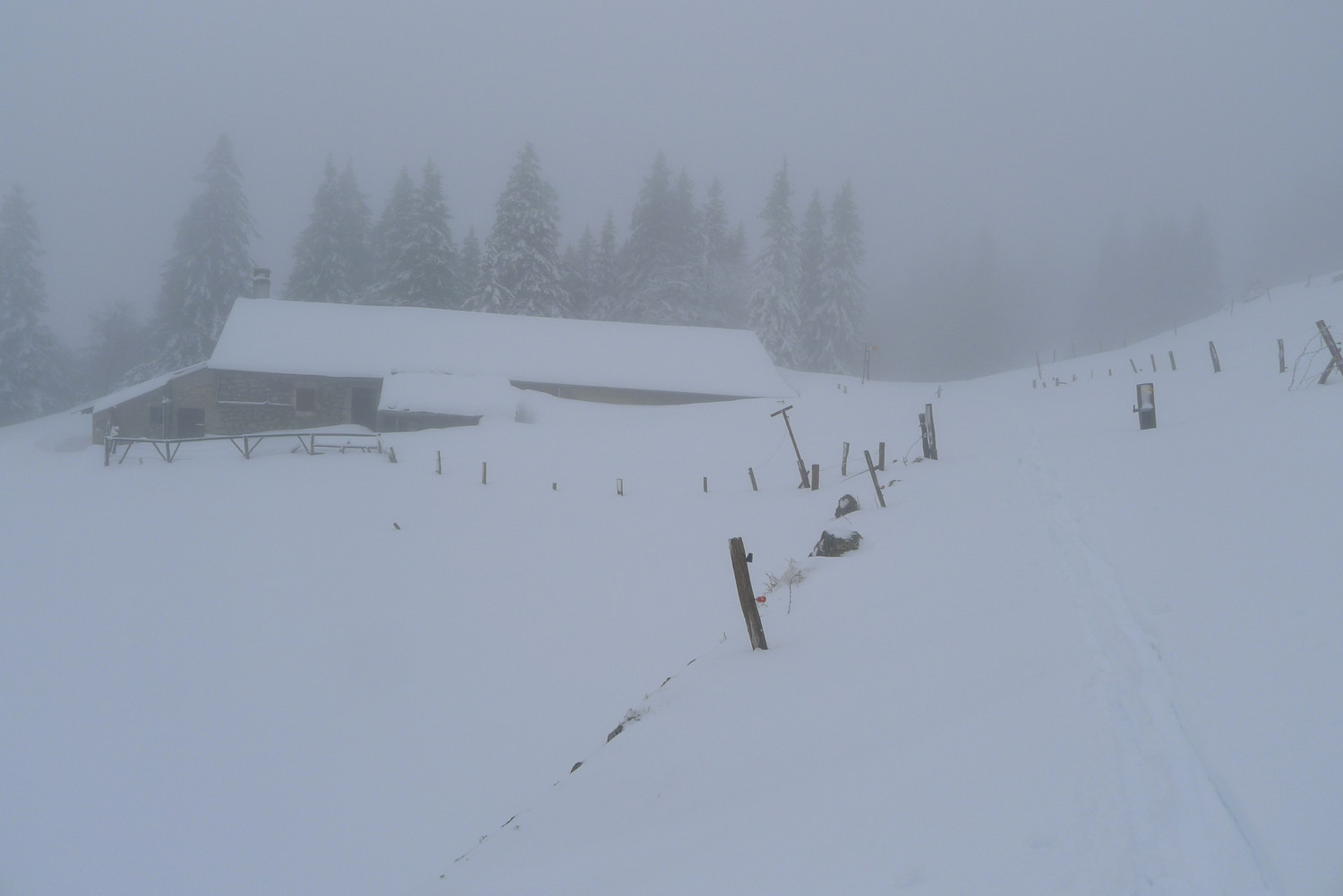 Ferme La Petite Dent