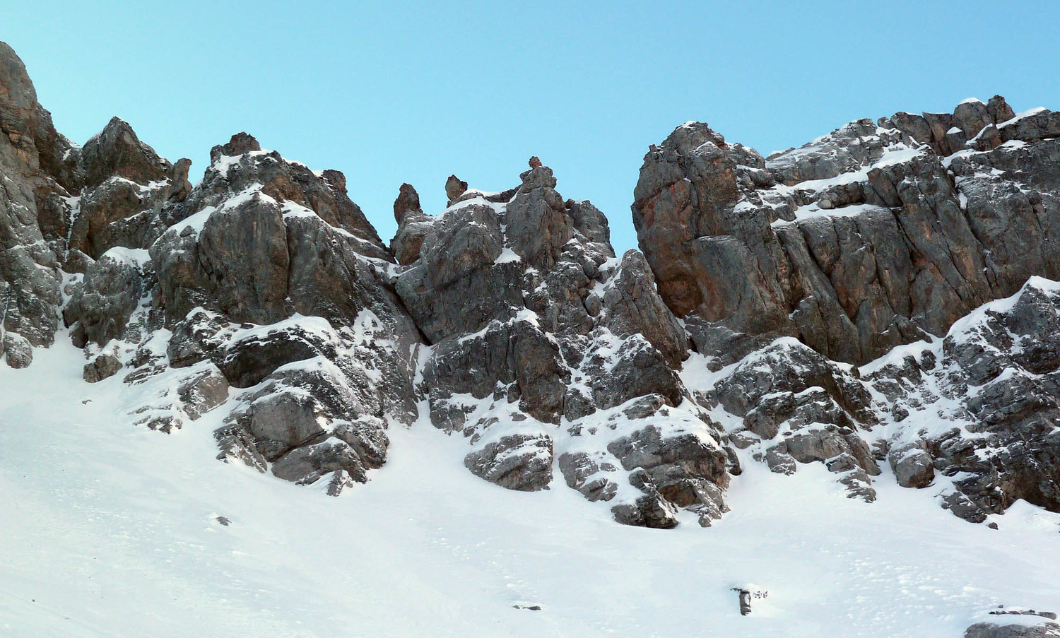 Des crêtes à la physionimie diablesque !