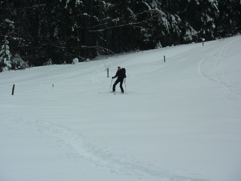 Luge-à-foin style
