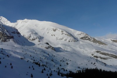 Pied Gros de St-Etienne