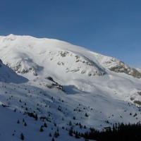 Pied Gros de St-Etienne
