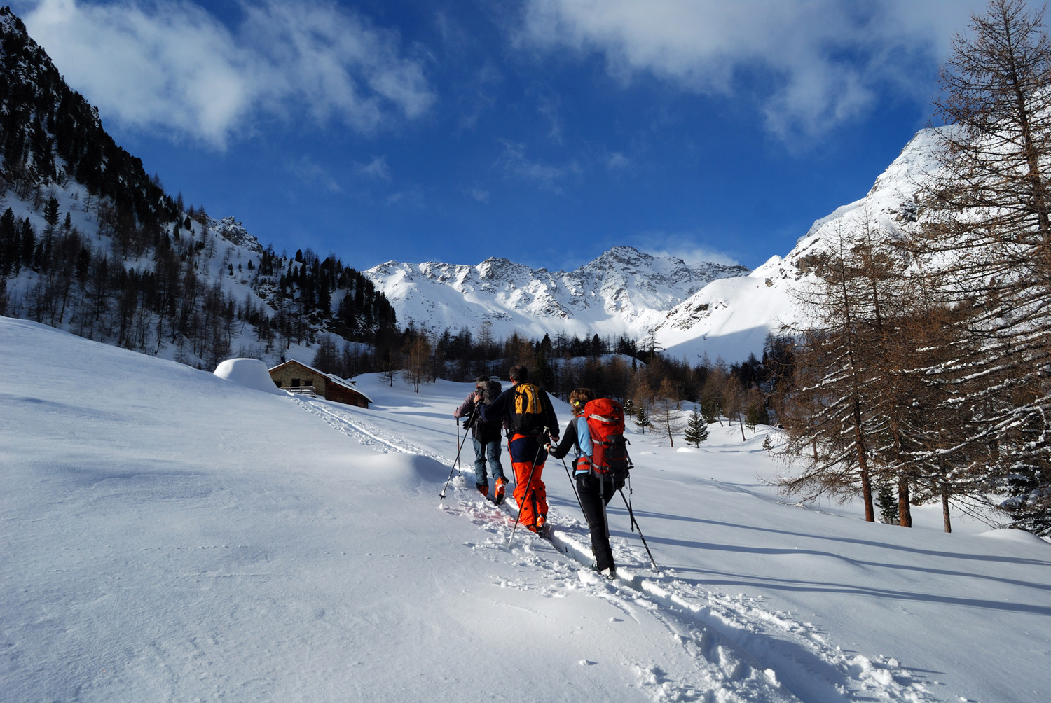 Durante la salita al Dosso-il-Filetto: presso L'Alpe Campacciolo 2104 m