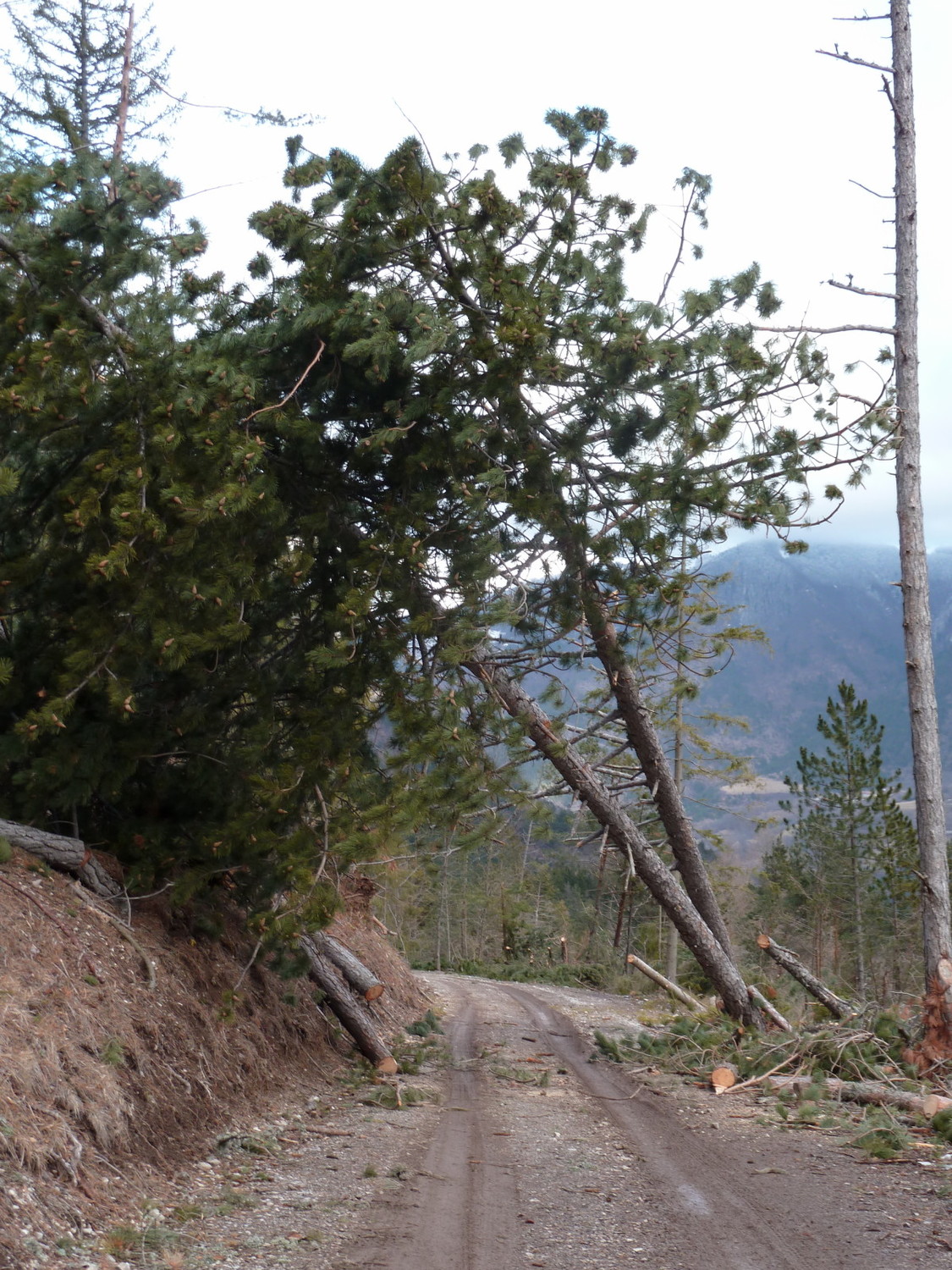 La route est fermée à 1050m... Cherchez pourquoi