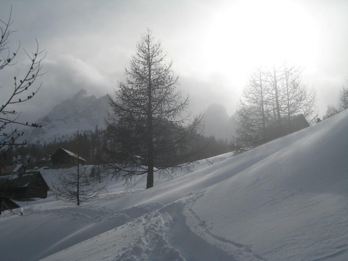 Clarée