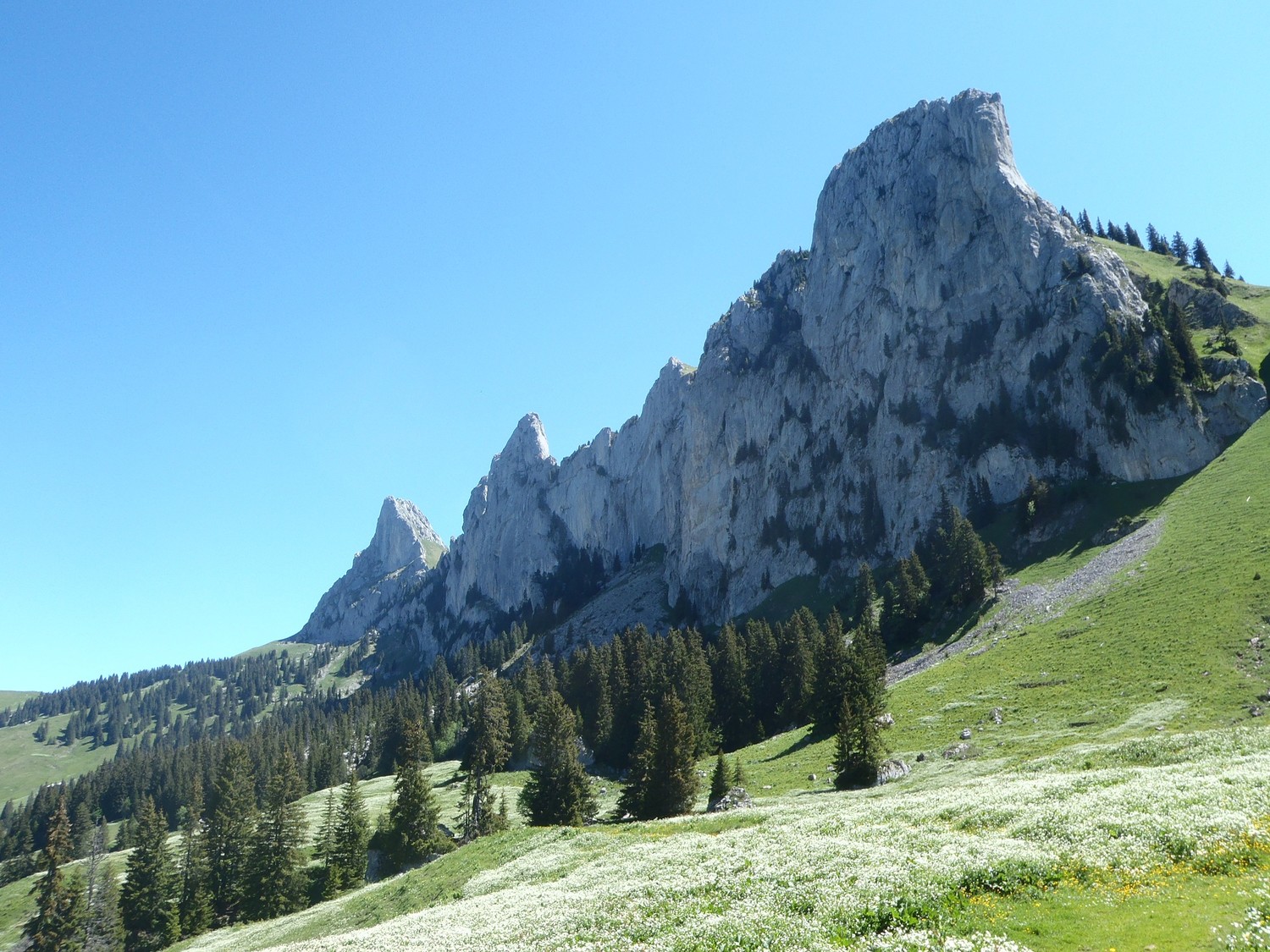 la pointe de savigny au fond