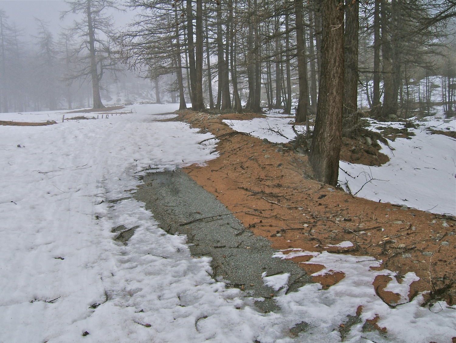 Plateau de Sestrière.