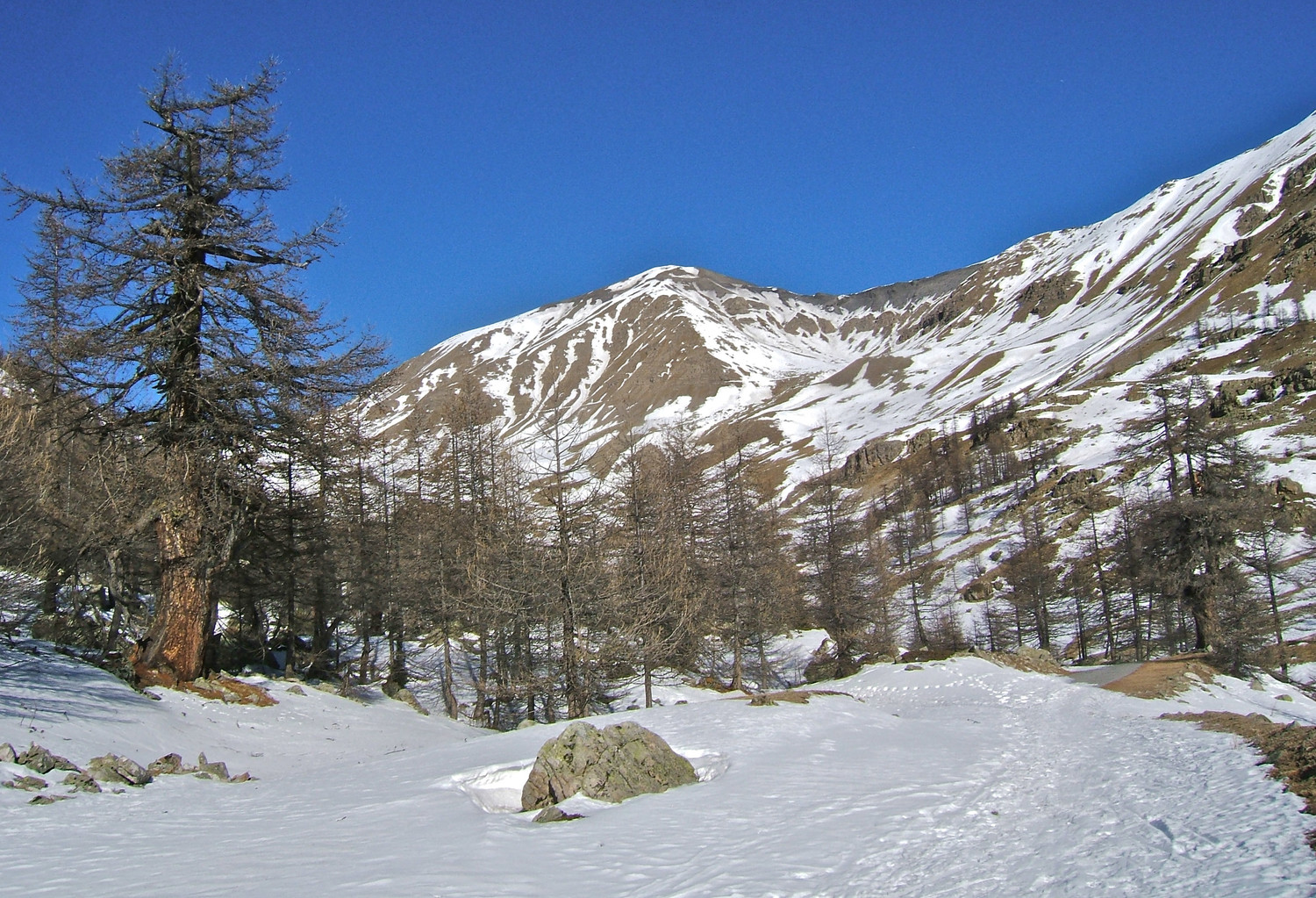 Cime de la Bonette.