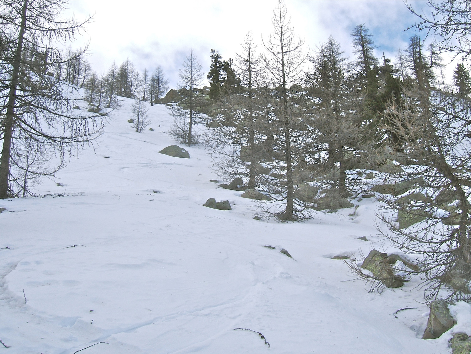 Quelques virages dans la poudreuse.