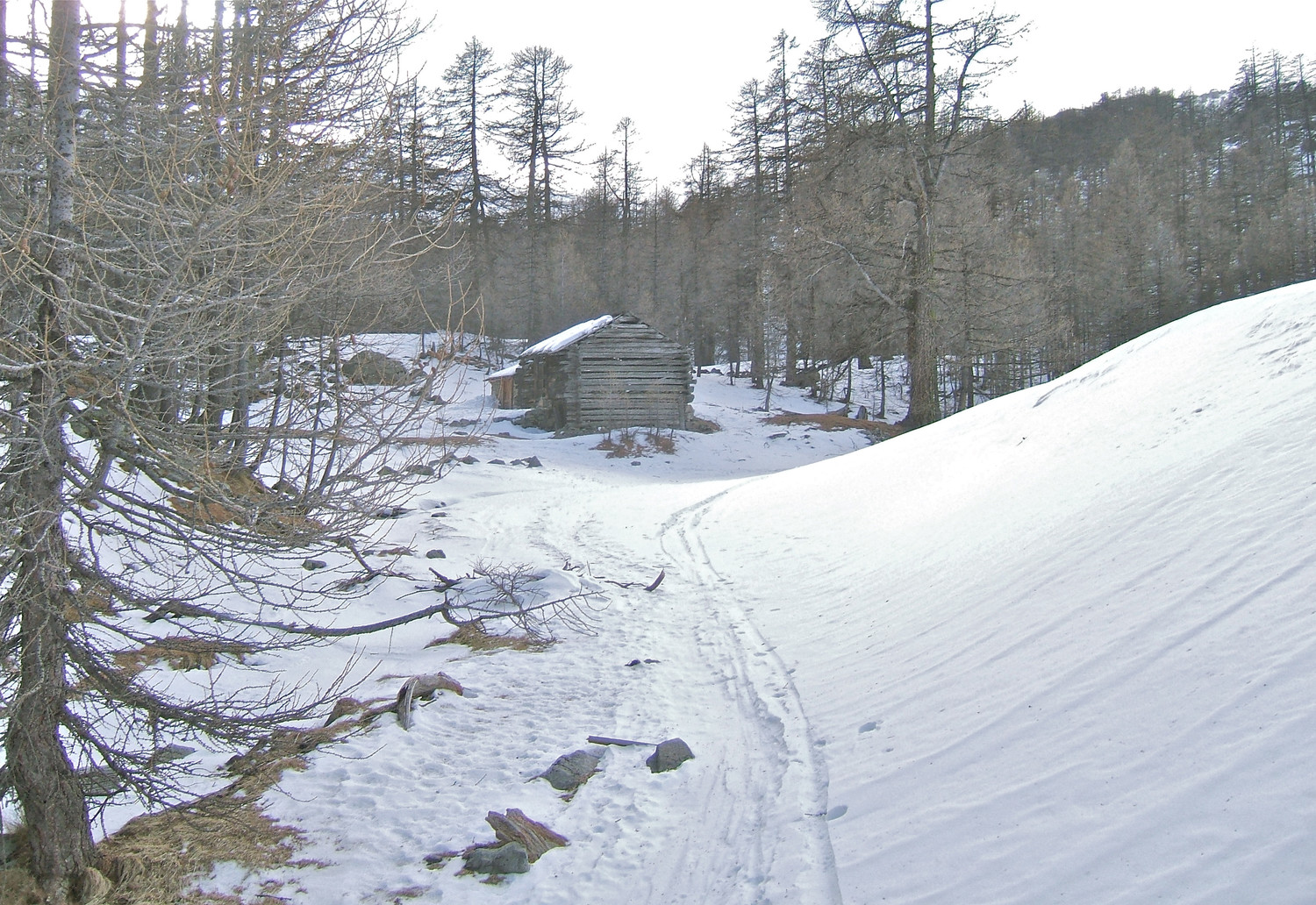 Cabane sur le plateau de Sestrière.