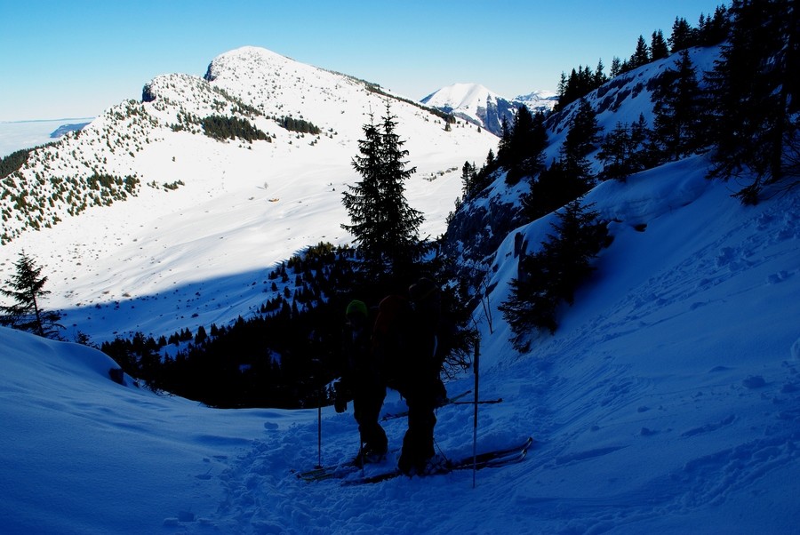dans le grand couloir