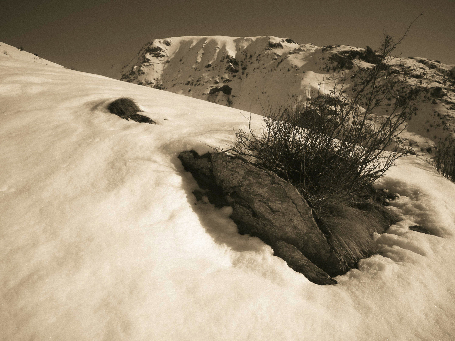 Bord de chemin