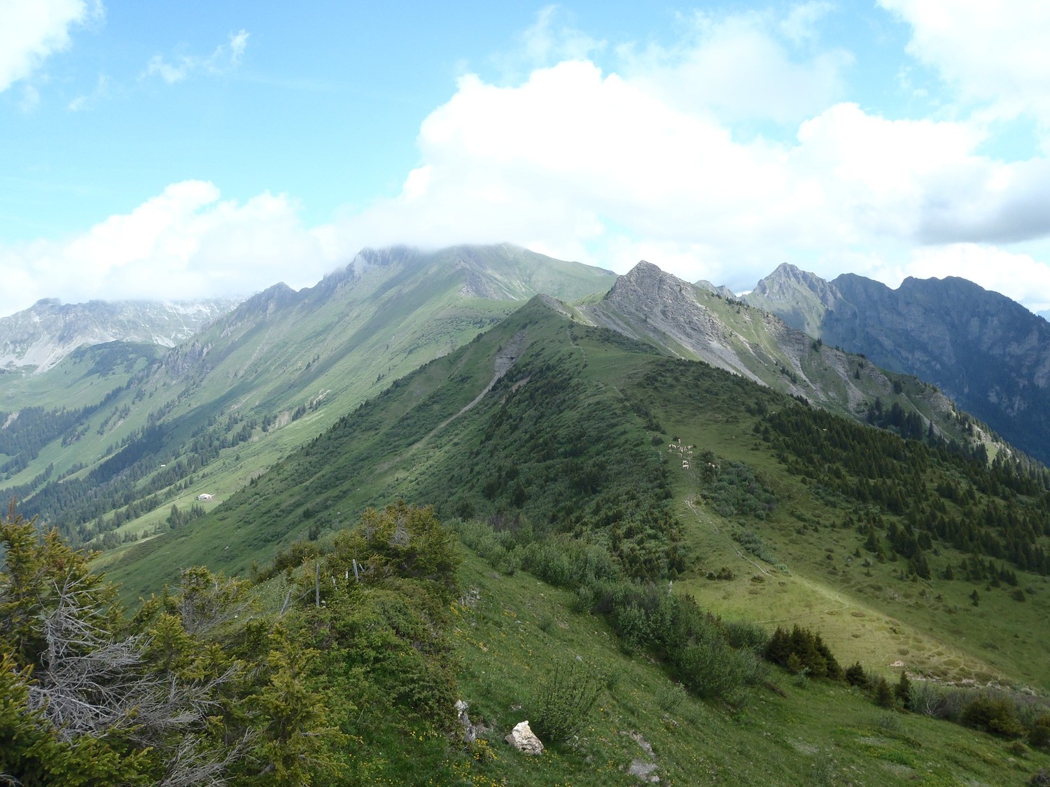 avant la fenetre d'arnon