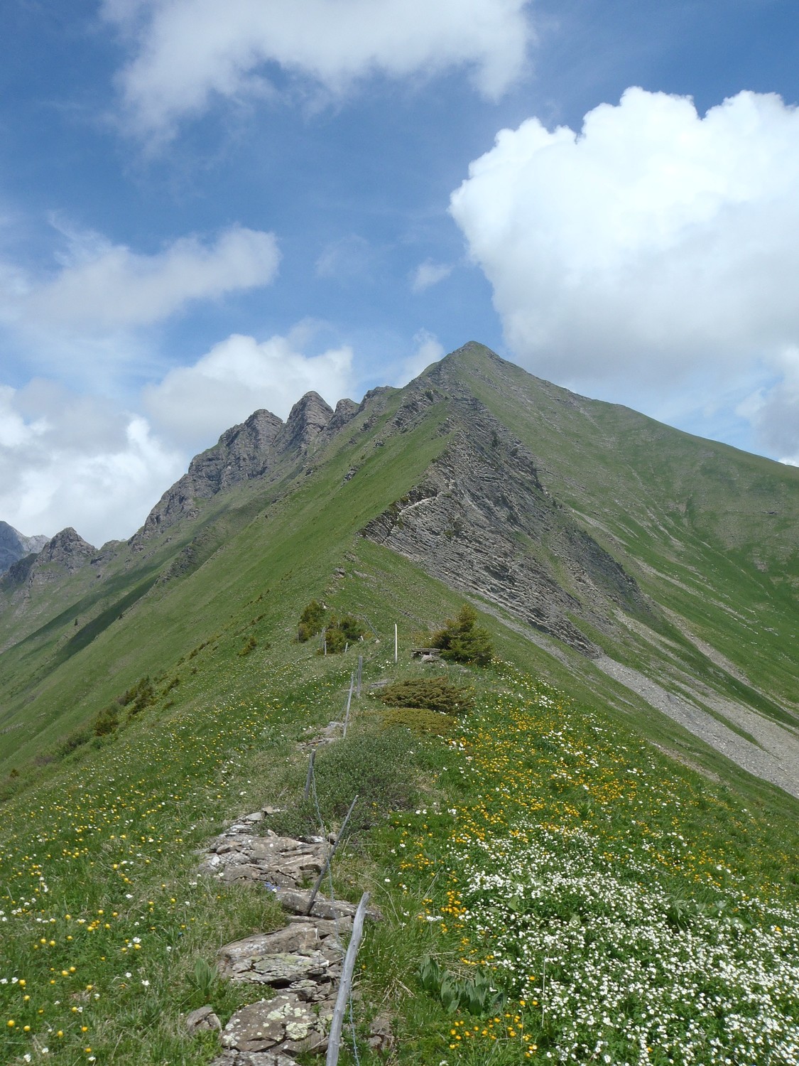 arete S de la wittenberghorn