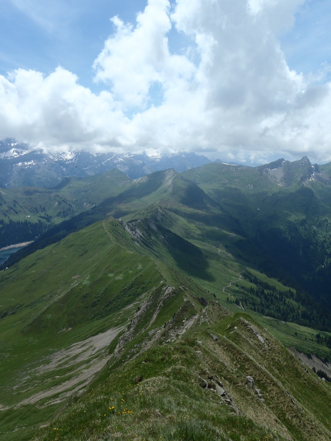 le chemin parcouru