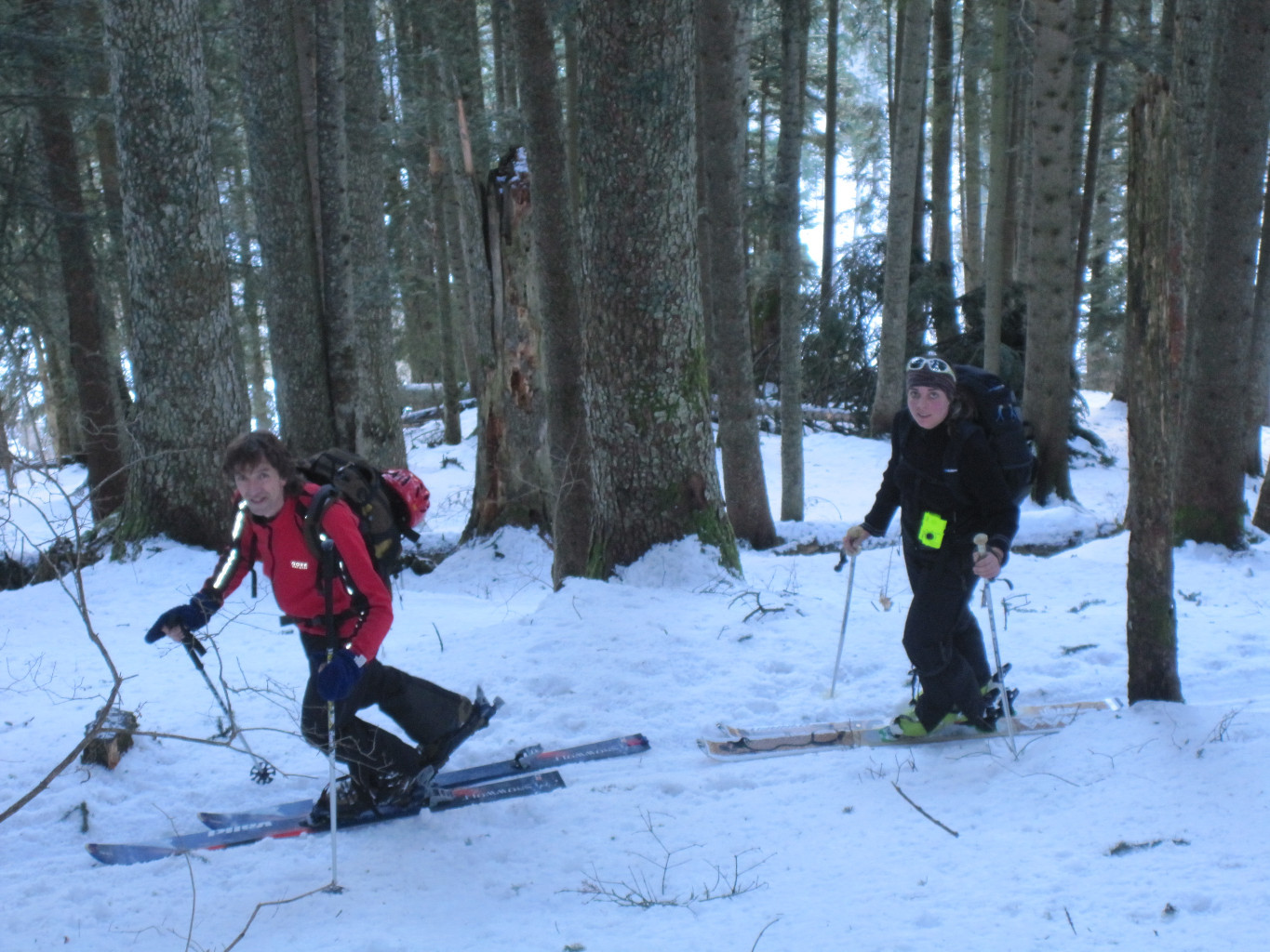 Montée dans le bois vers 1300m