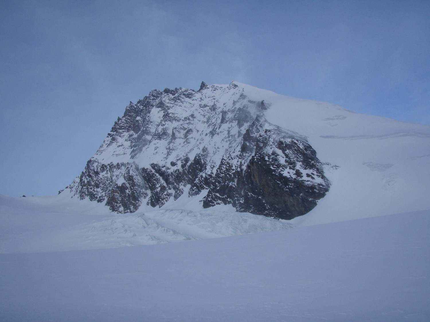 rimpfishorn