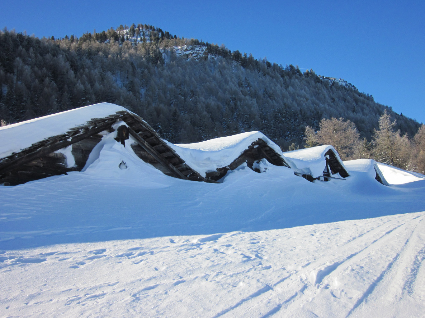 Alpage de Sengg