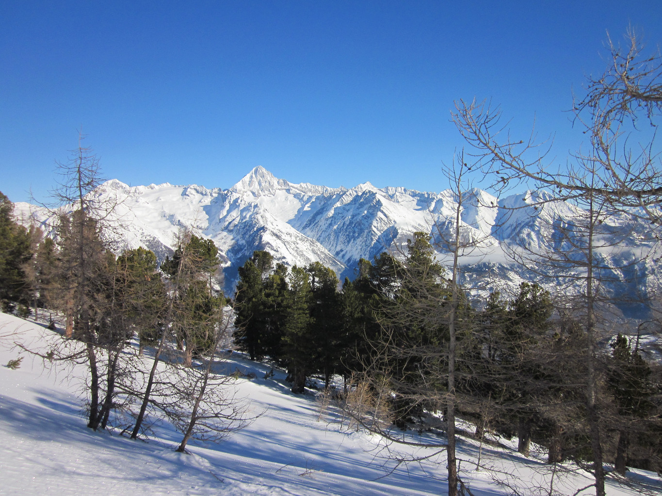 Vue sur le Bietschhorn