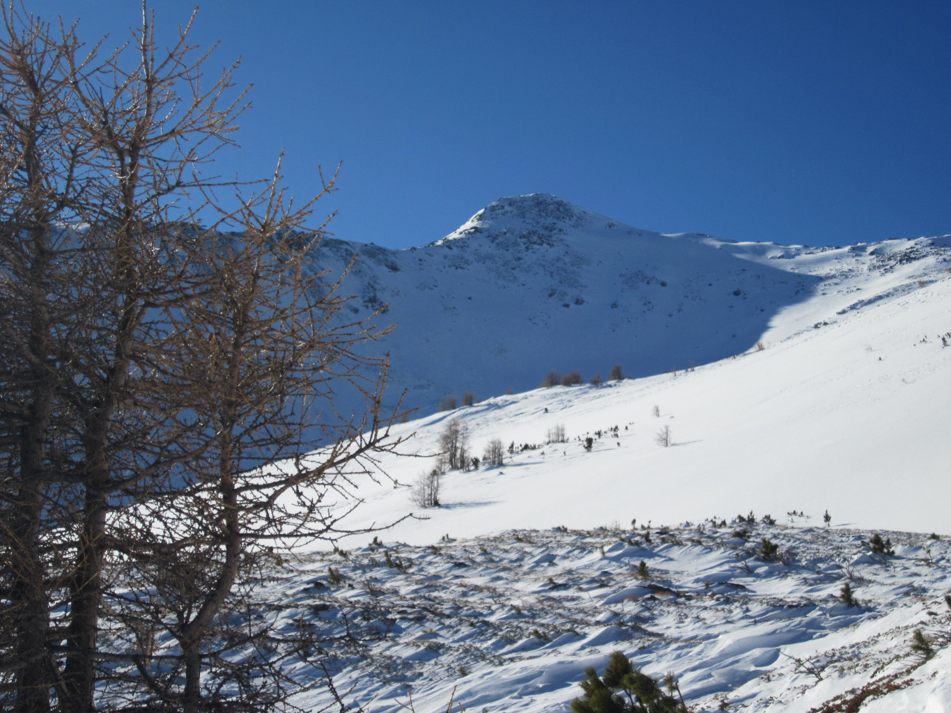 Le Signalhorn