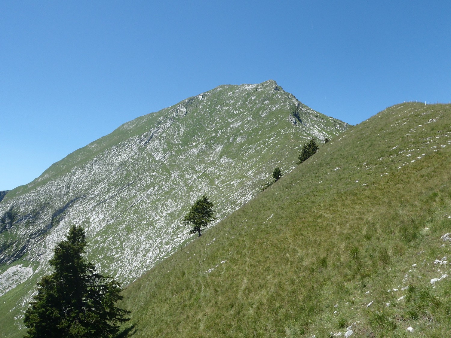pendant la montée