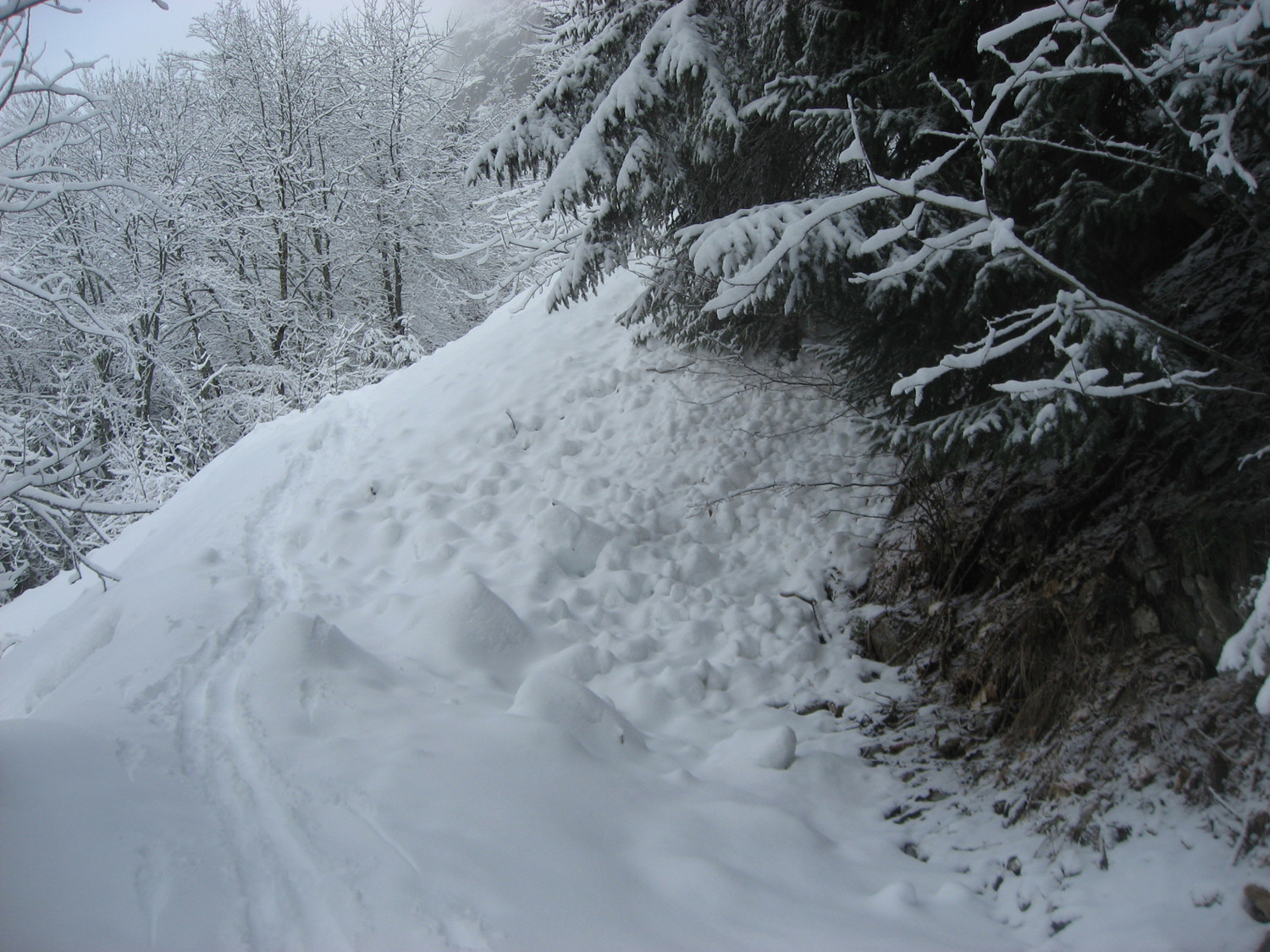 Une coulée en travers du chemin