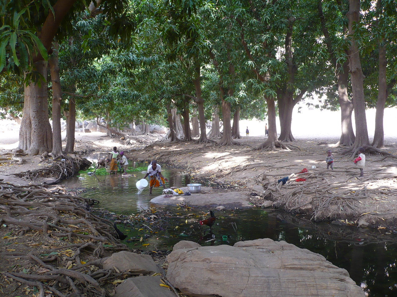 rivière à Nombori