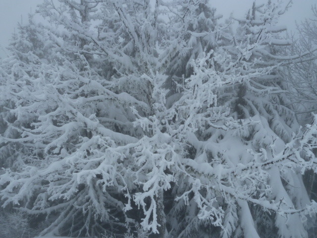 Presque effrayant!