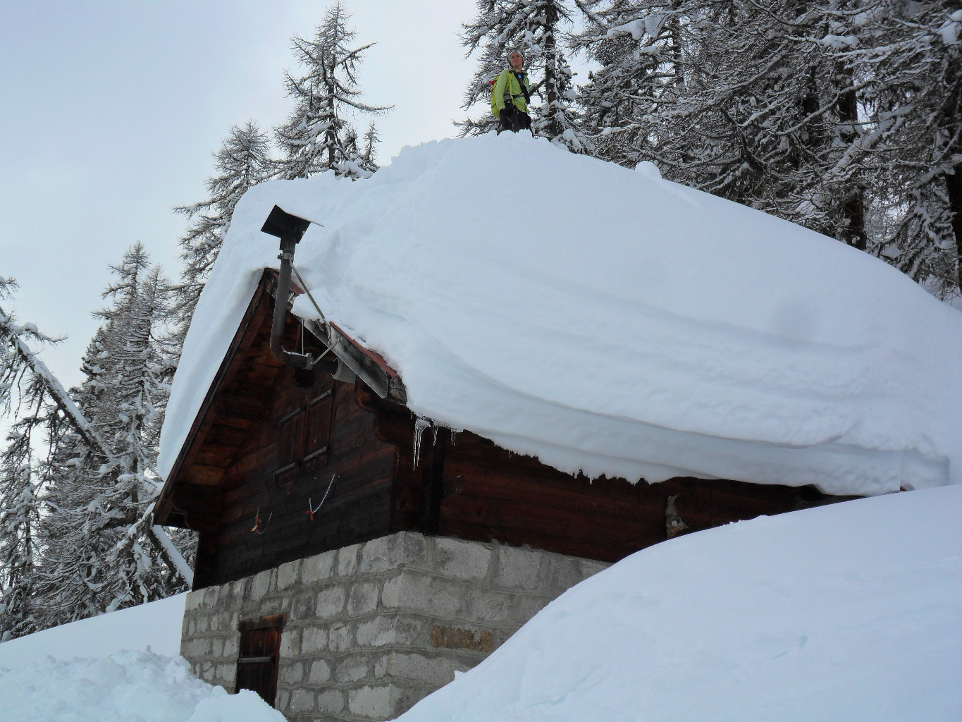 ...Lolla ci da l'esempio della quantità di neve...