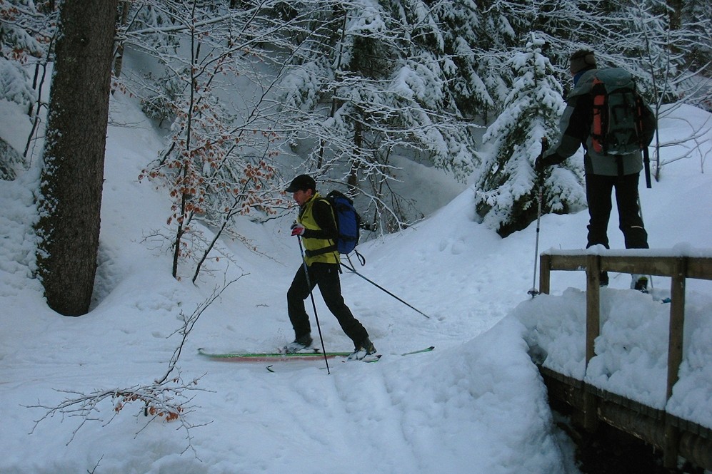 En forêt, passerelle capitonnée...
