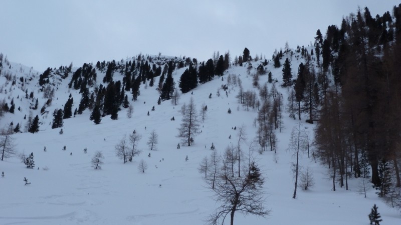 Croda Rossa 2