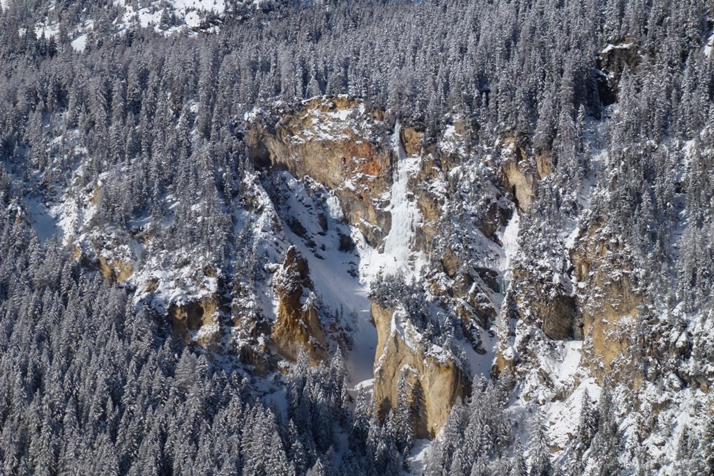 Le splendide abetaie della Val Ferrera