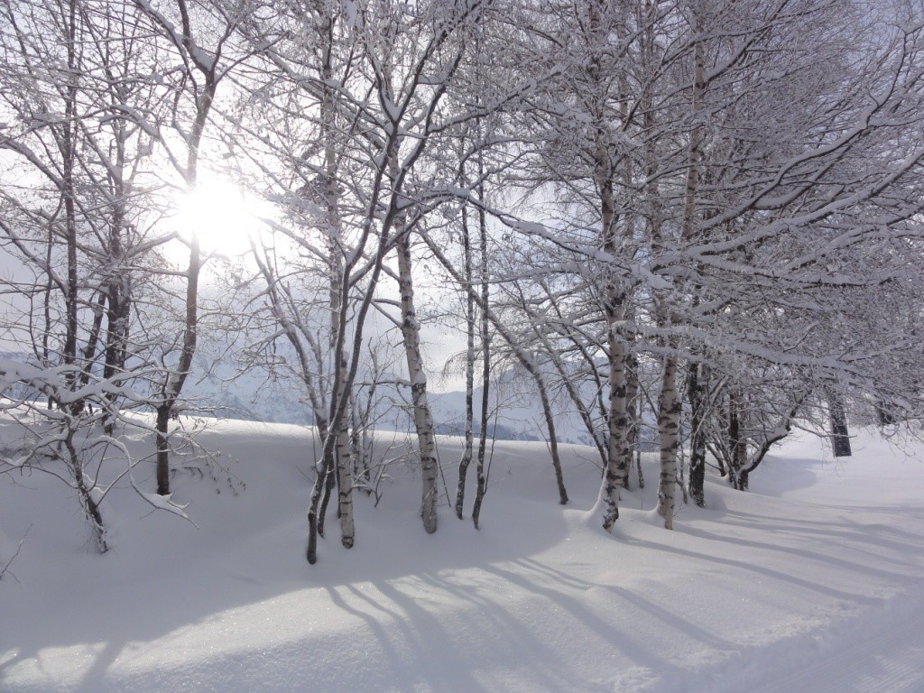 Doucy: ambiance hivernale