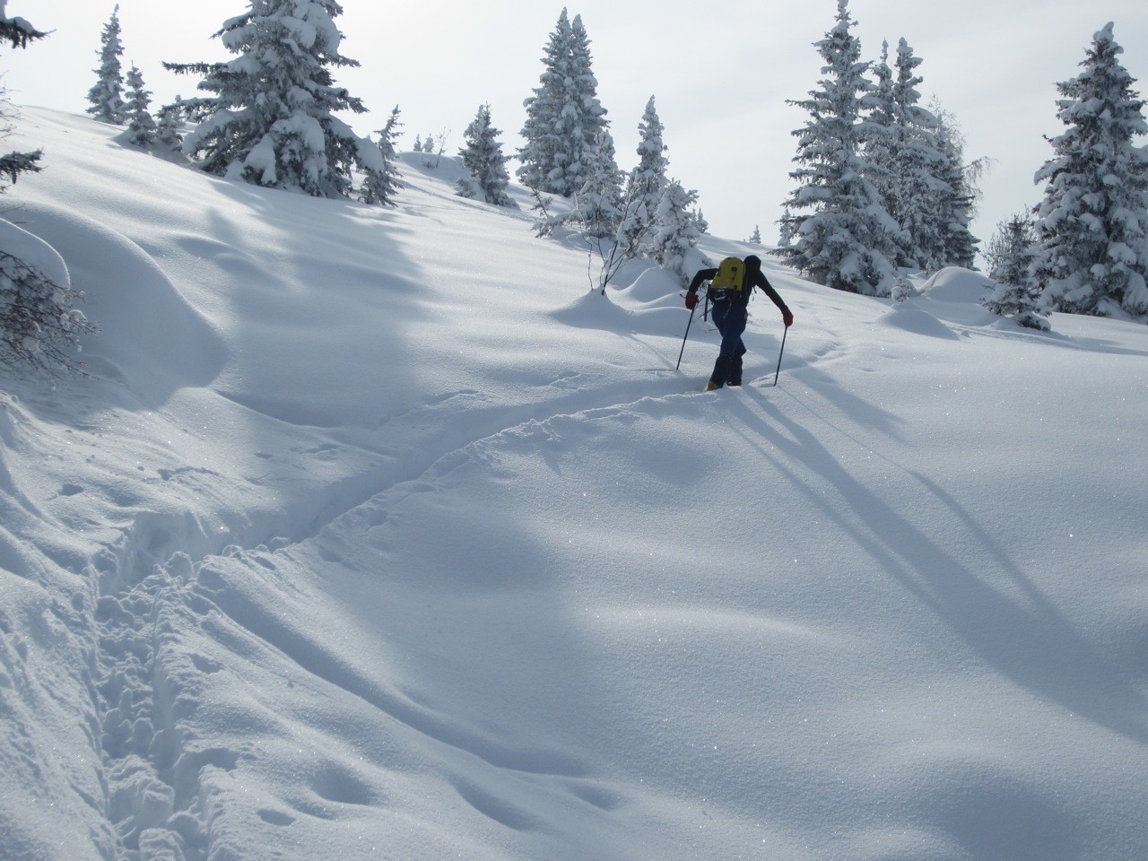 60cm de poudre ici vers 1900m