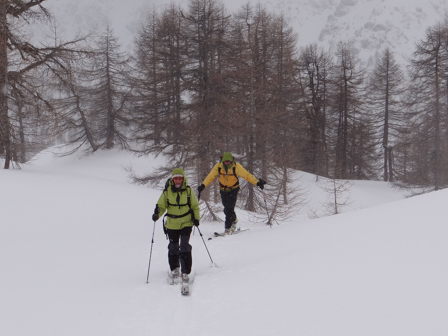 A la sortie de la forêt