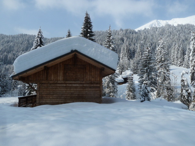 Chalets garnis sur fond d'Uble