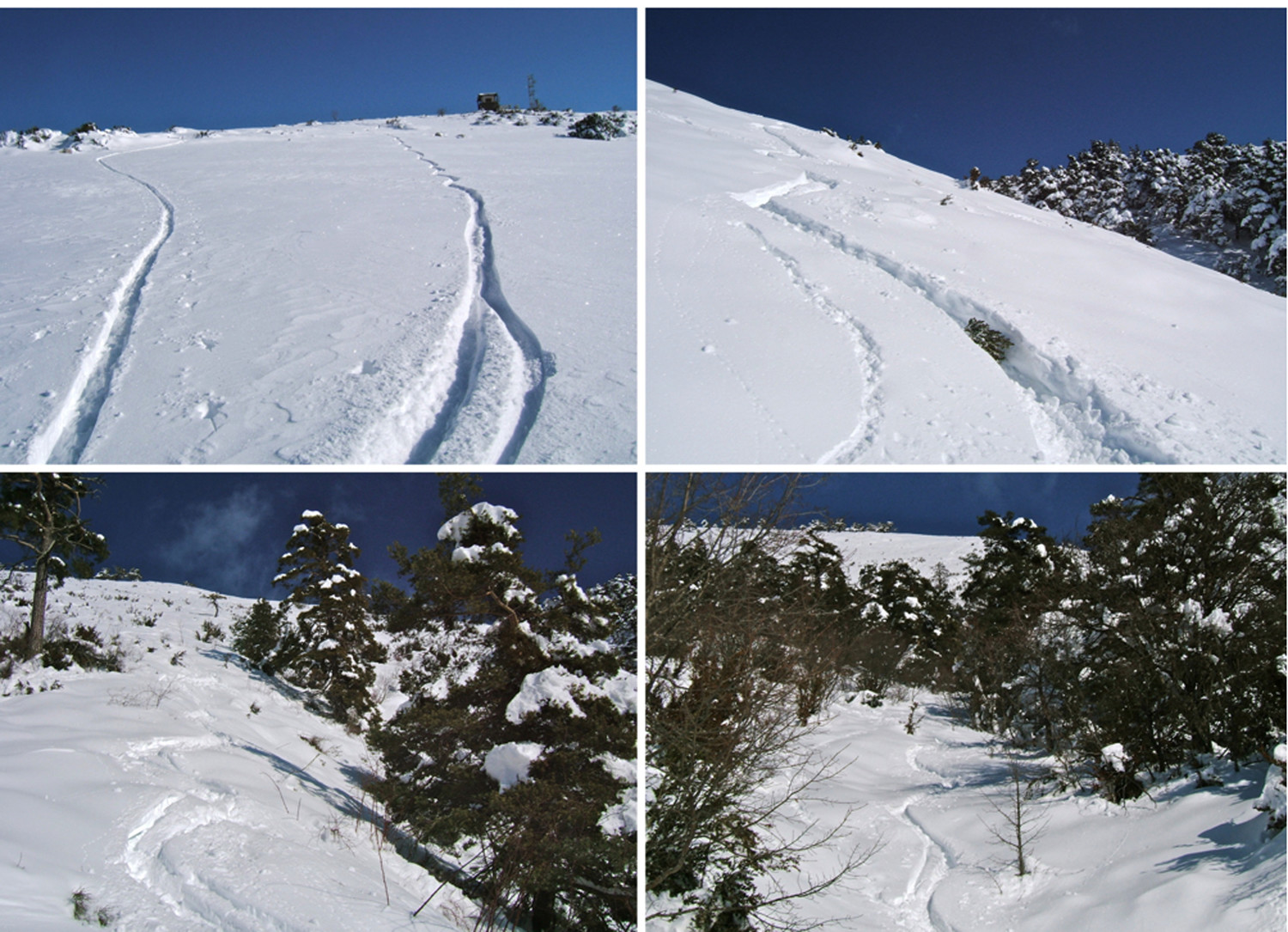 Pas trop mal la descente.