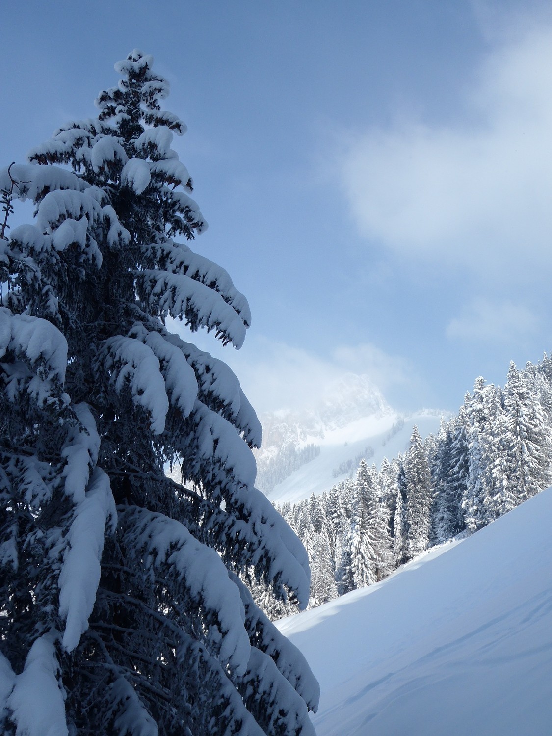 assez de neige