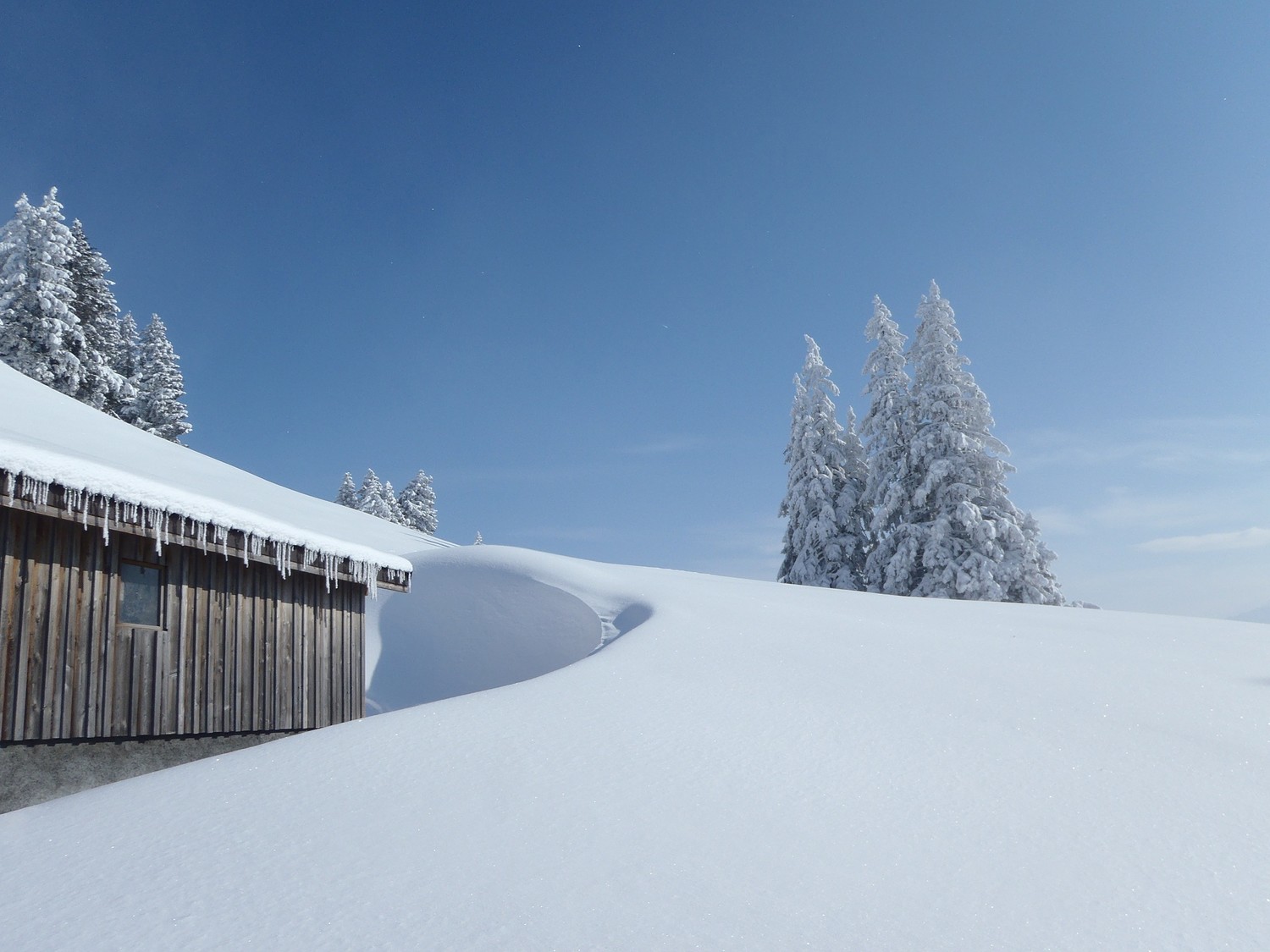 toujours assez de neige