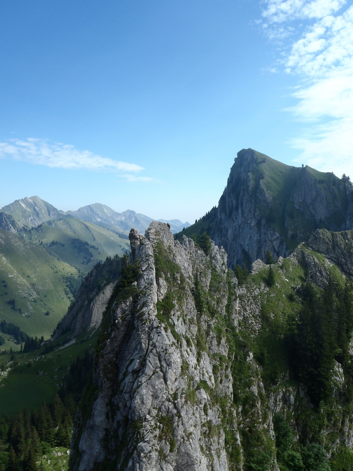 gais alpins et dent d'hautaudon